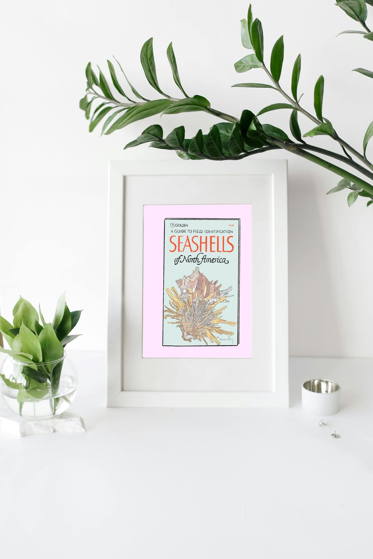 Seashells of North America Book Cover Illustration