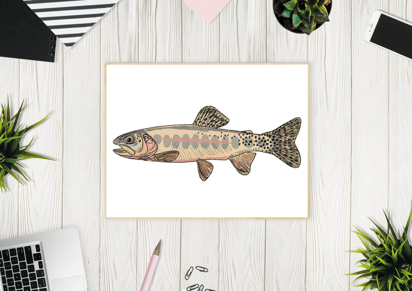 California Golden Trout Fish Illustration