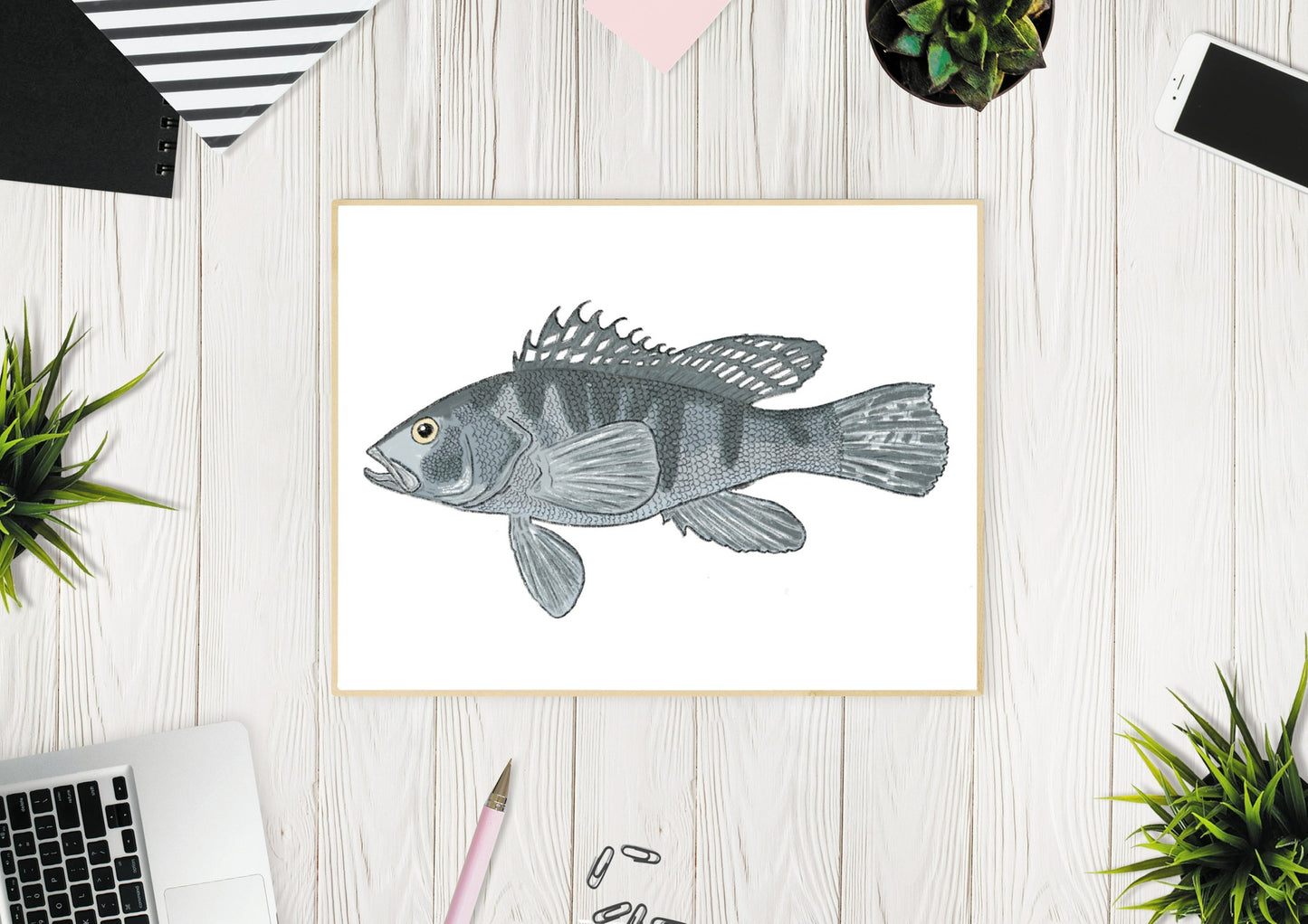 Black Sea Bass Fish Illustration