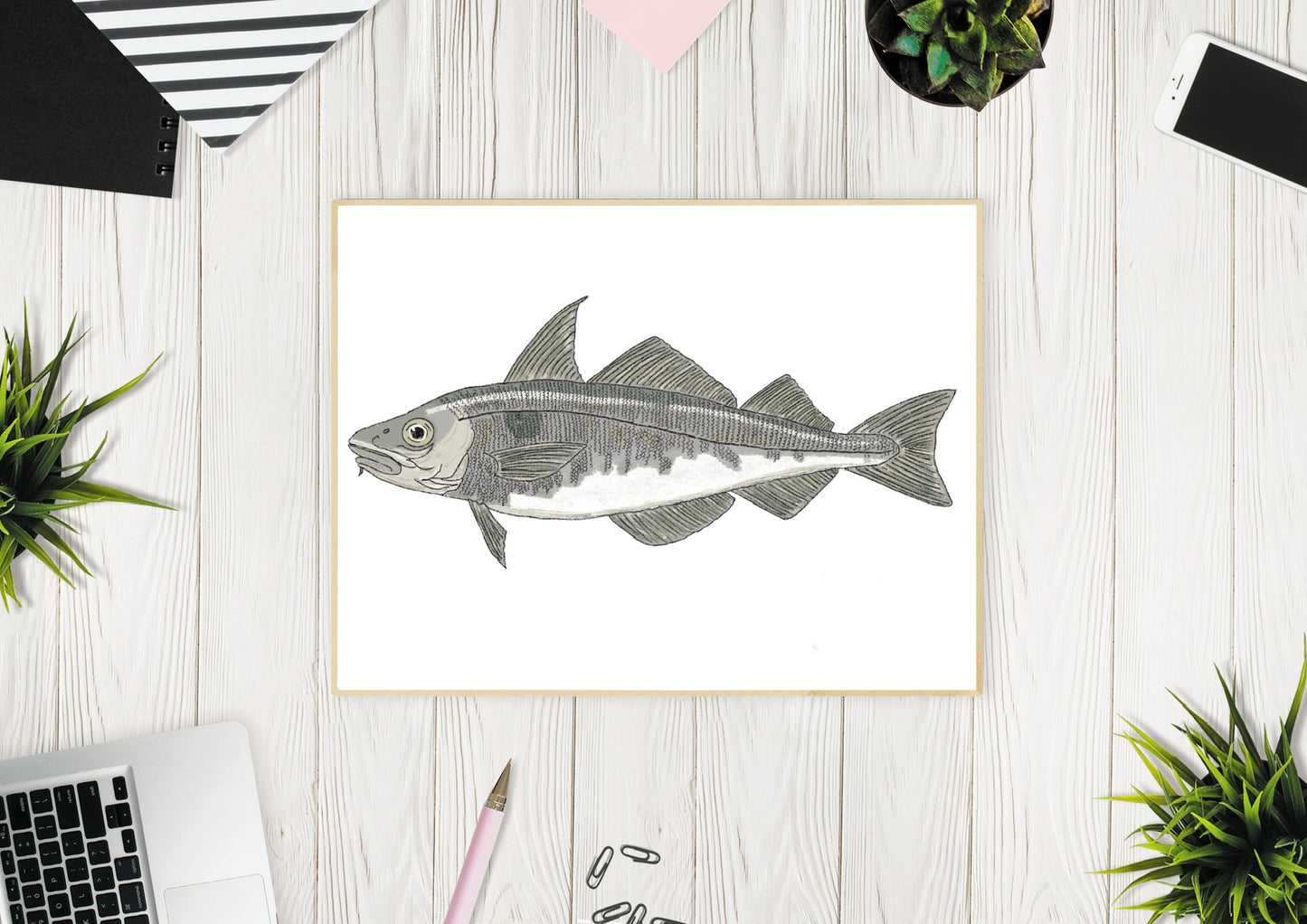Haddock Fish Illustration